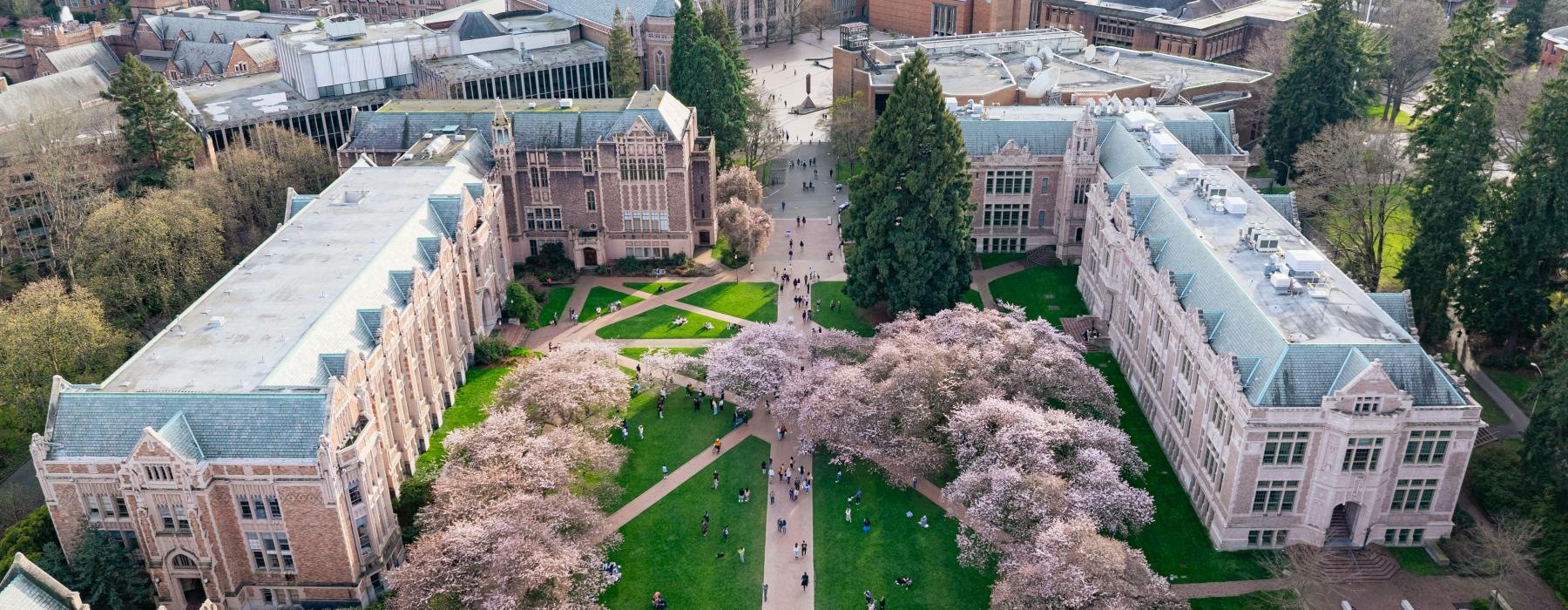 a city with many buildings and trees